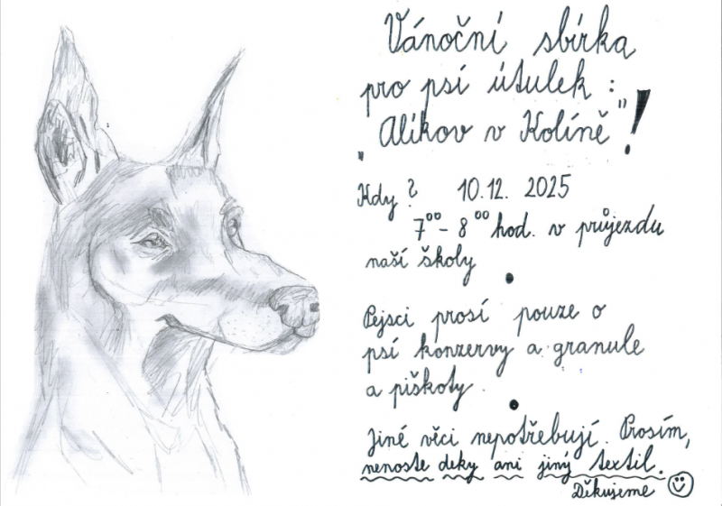 Vánoční sbírka pro útulek